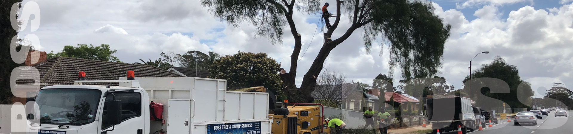 Tree Removal & Felling