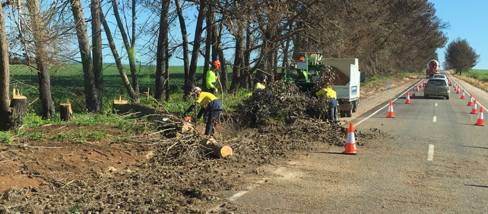Power-Line Clearance