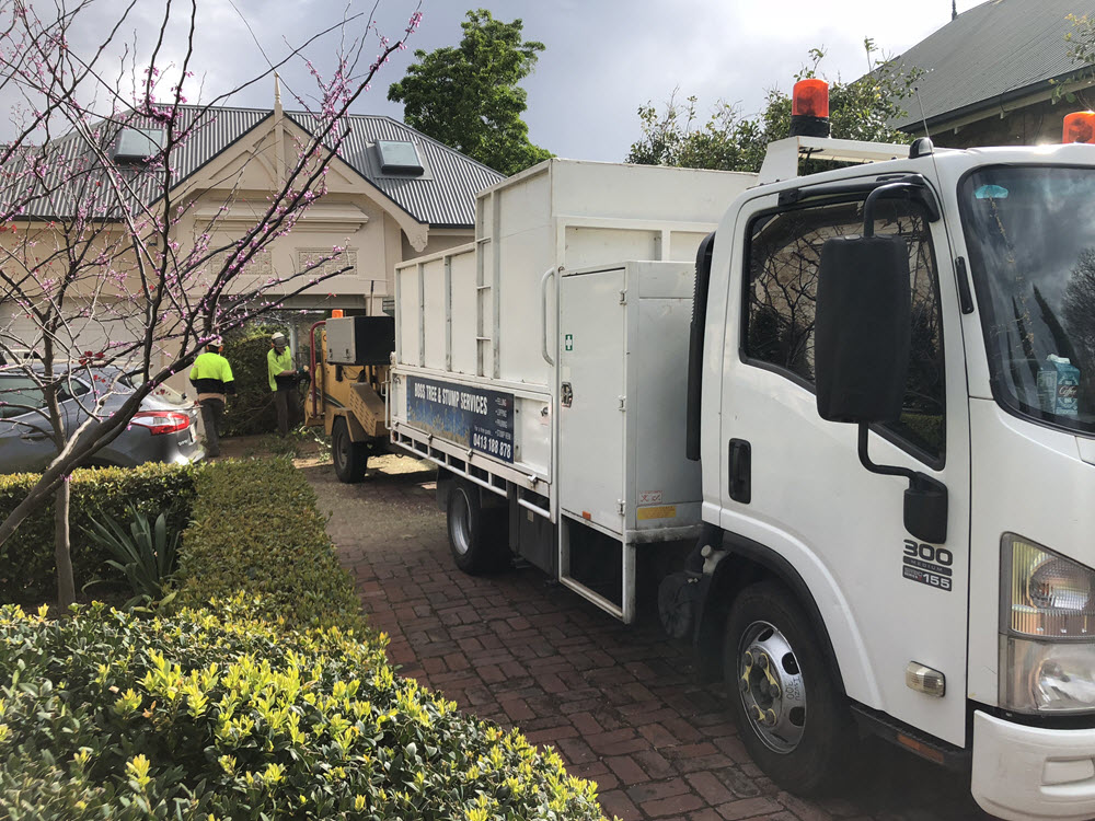 BOSS tree service project 9