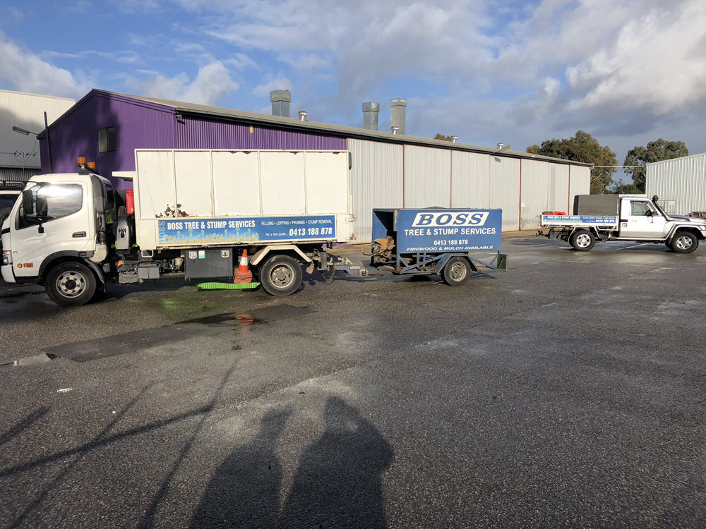 BOSS tree service project 10